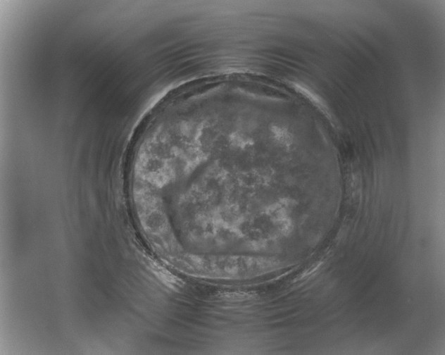 X0000066101023200603241513