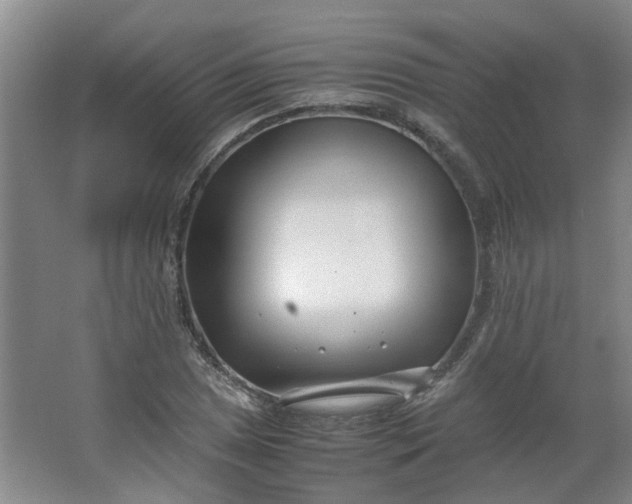 X0000066101025200603241513