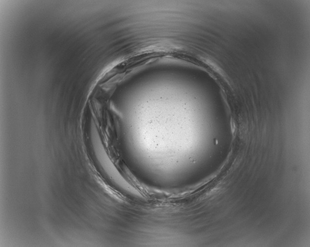 X0000066101026200603241513