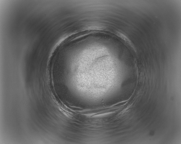 X0000066101027200603241513