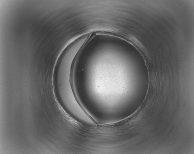 X0000066101028200603241513