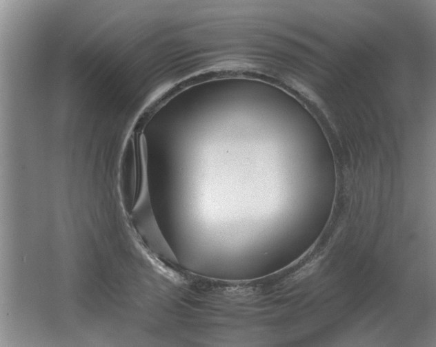 X0000066101029200603241513