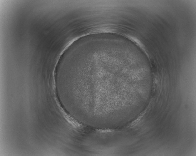 X0000066101031200603241513