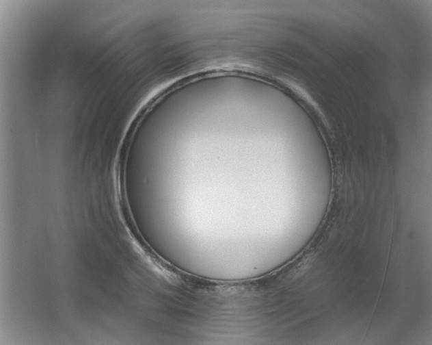 X0000066101032200603241513