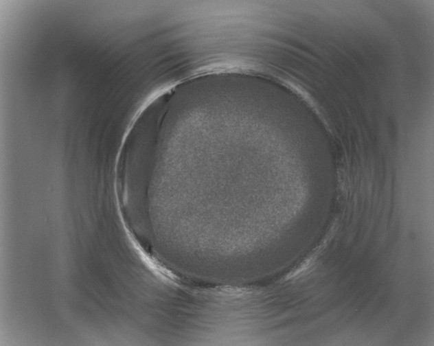 X0000066101034200603241513