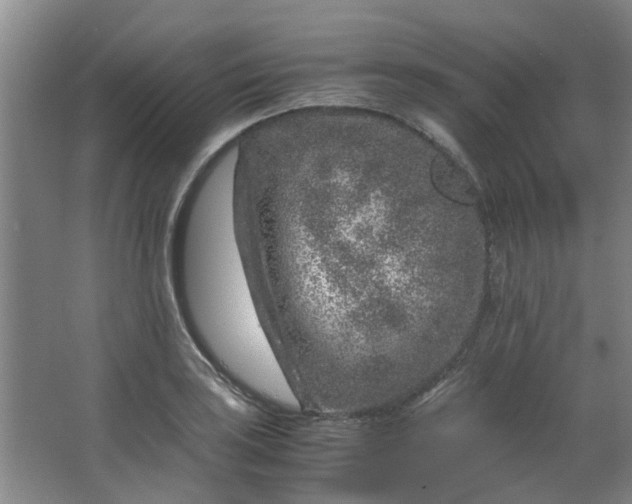 X0000066101035200603241513