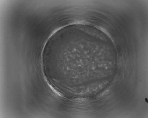 X0000066101037200603241513