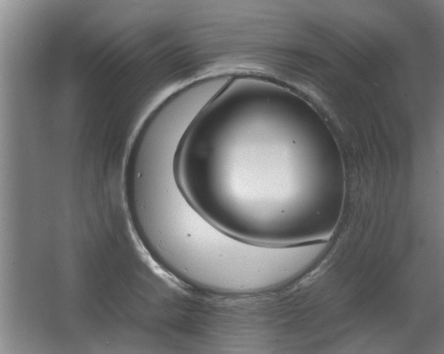 X0000066101038200603241513