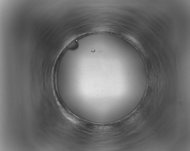 X0000066101039200603241513