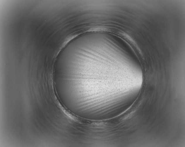 X0000066101041200603241513