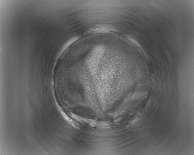 X0000066101042200603241513