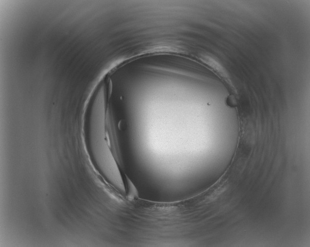 X0000066101043200603241513