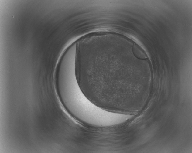 X0000066101045200603241513