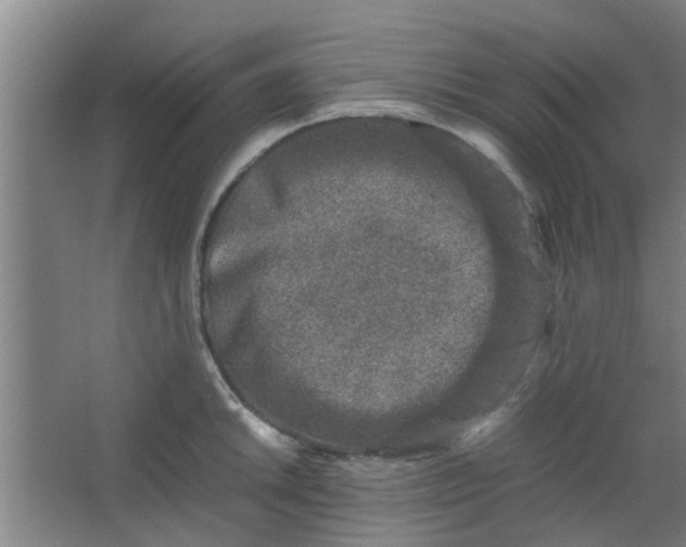 X0000066101046200603241513