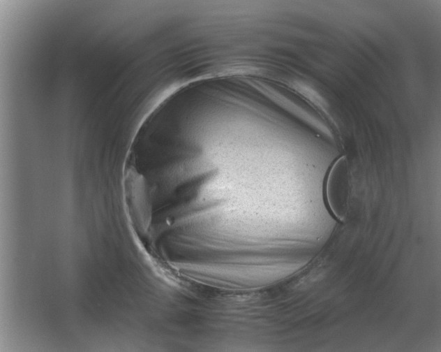 X0000066101047200603241513