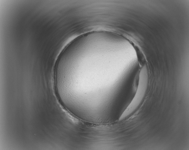 X0000066101048200603241513