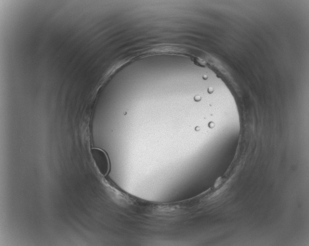 X0000066101049200603241513