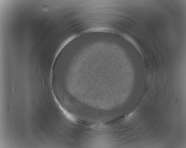 X0000066101050200603241513