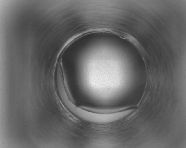 X0000066101052200603241513