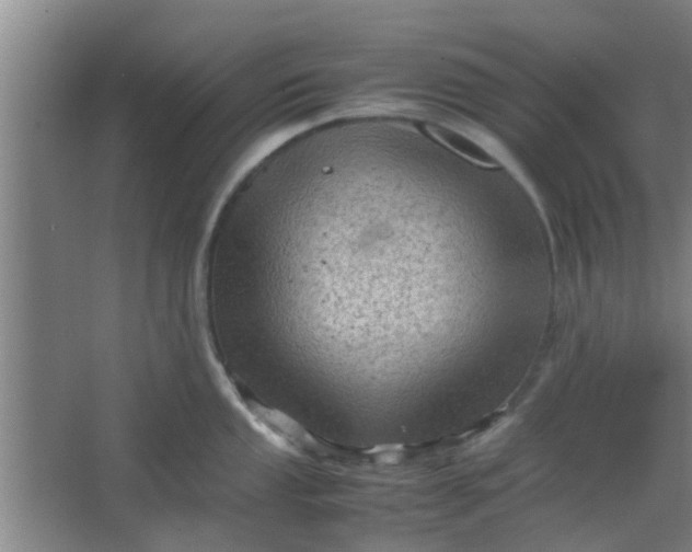 X0000066101053200603241513