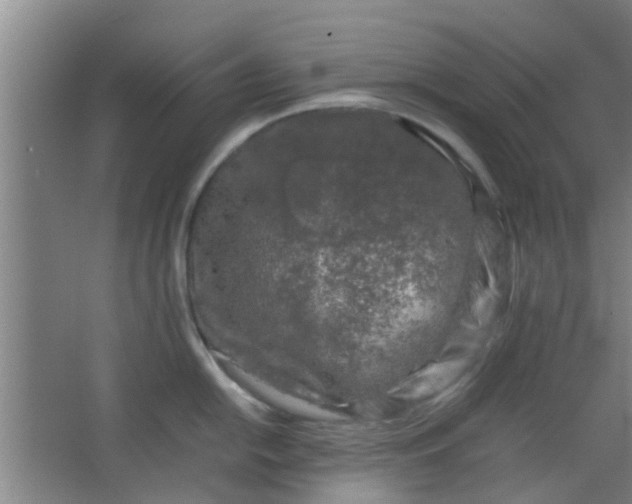 X0000066101054200603241513