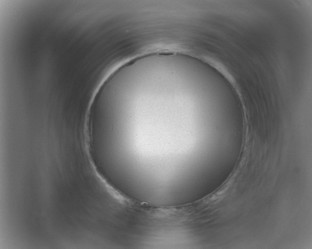 X0000066101056200603241513