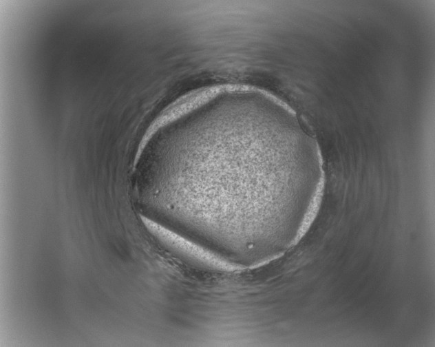 X0000066101057200603241512