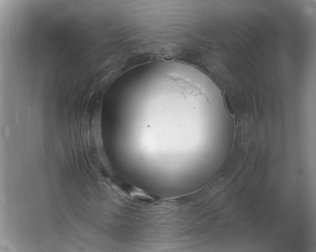 X0000066101058200603241512