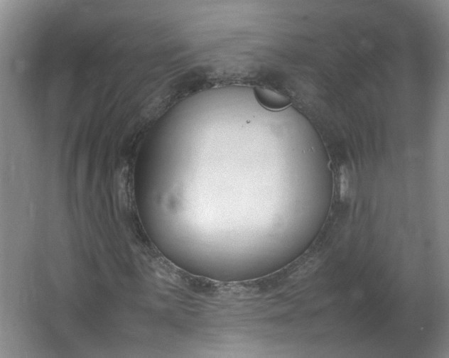 X0000066101059200603241512