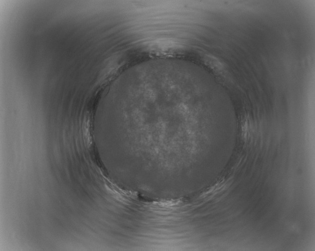 X0000066101060200603241512