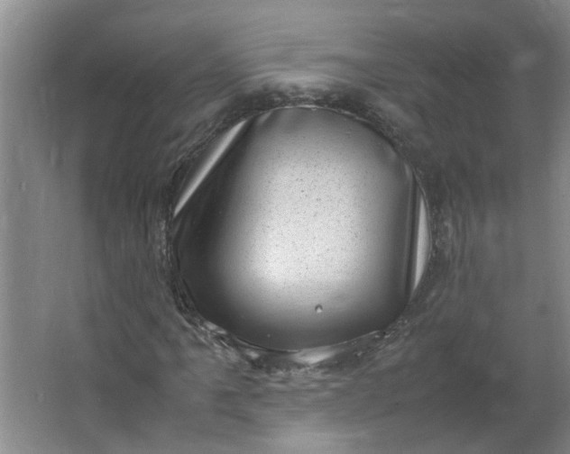 X0000066101061200603241512