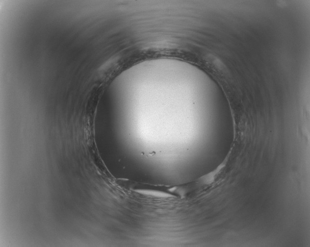 X0000066101062200603241512