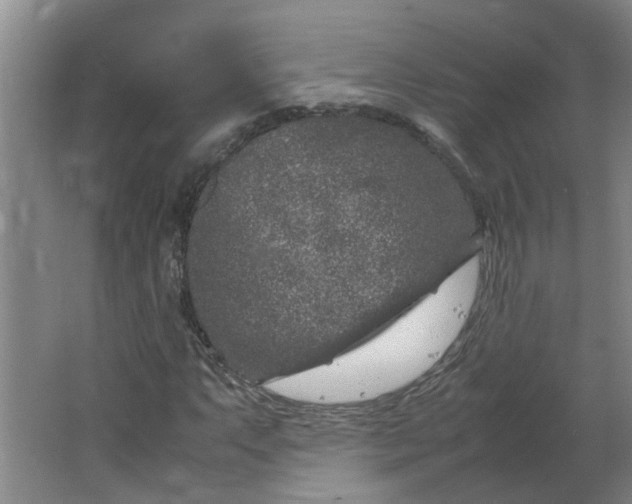 X0000066101063200603241512