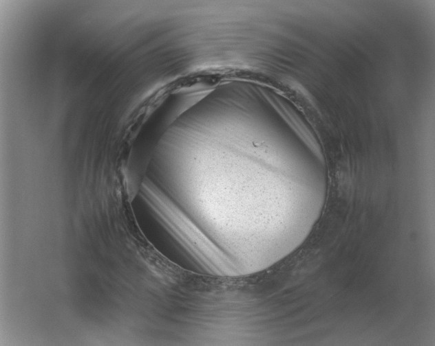 X0000066101064200603241512