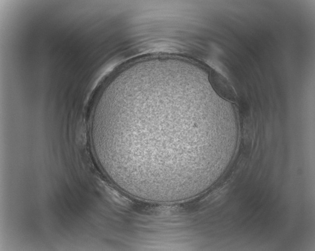 X0000066101067200603241512