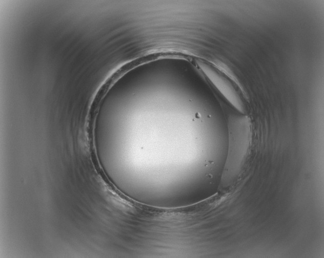 X0000066101068200603241512