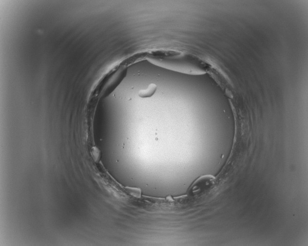 X0000066101069200603241512