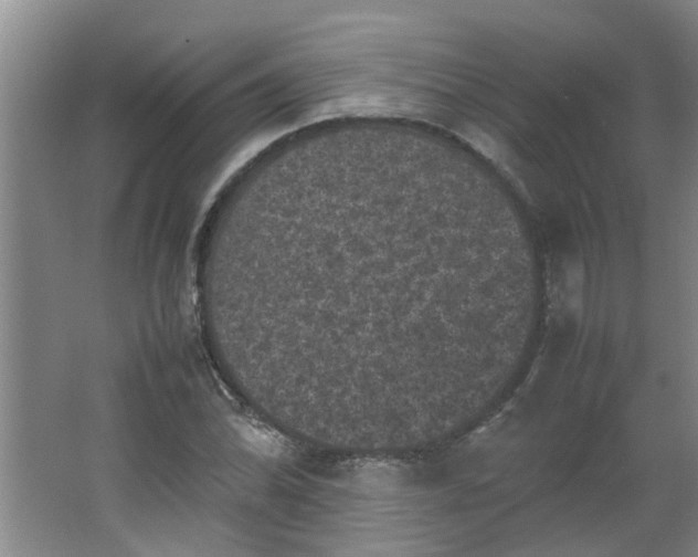 X0000066101070200603241512