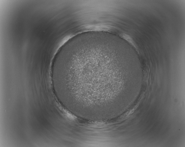 X0000066101071200603241512