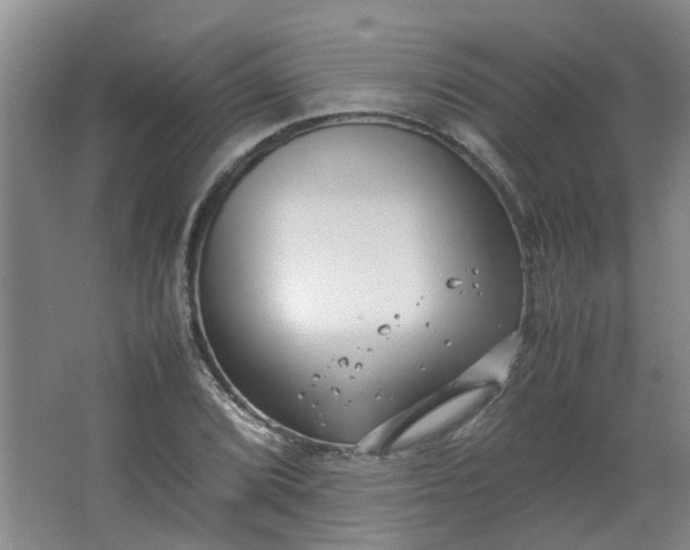 X0000066101072200603241512