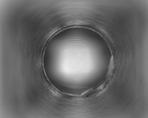 X0000066101073200603241512