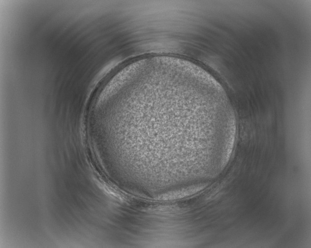 X0000066101074200603241512