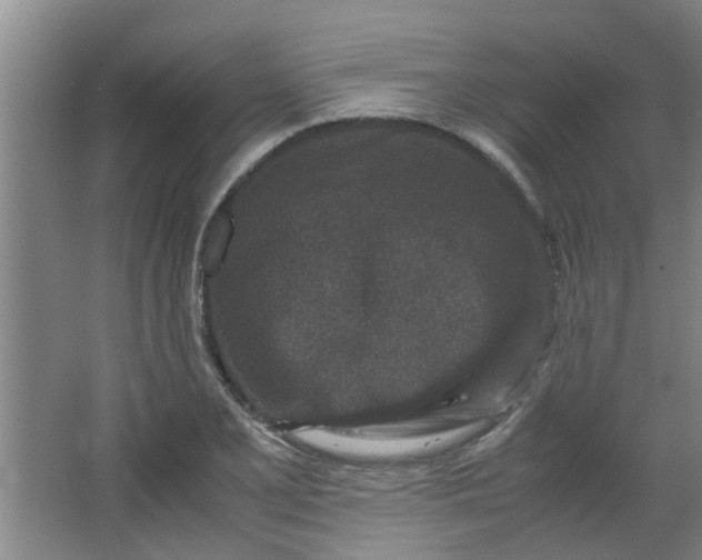 X0000066101077200603241512