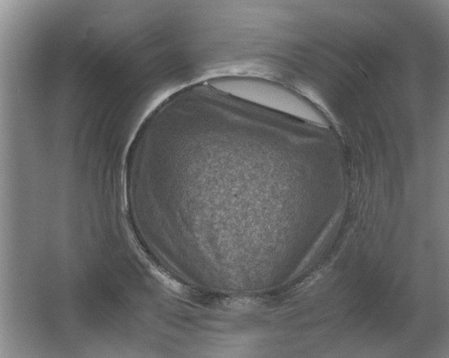 X0000066101079200603241512