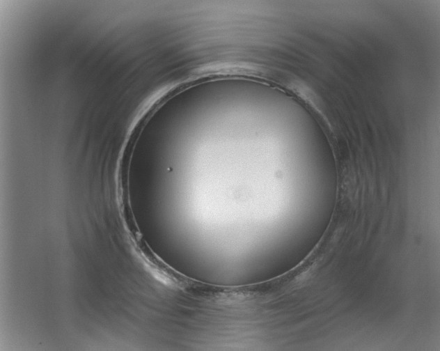 X0000066101082200603241512