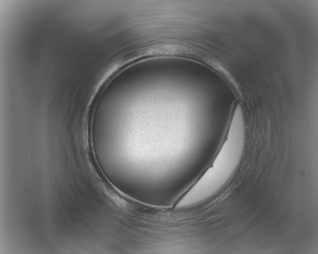 X0000066101083200603241512