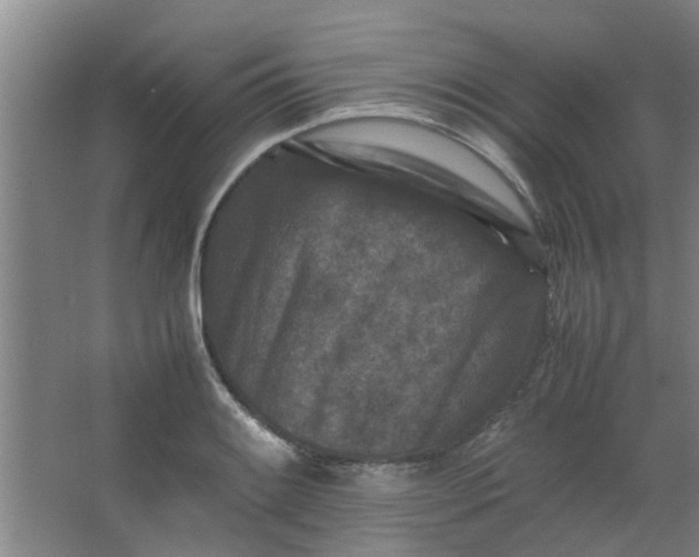 X0000066101084200603241512