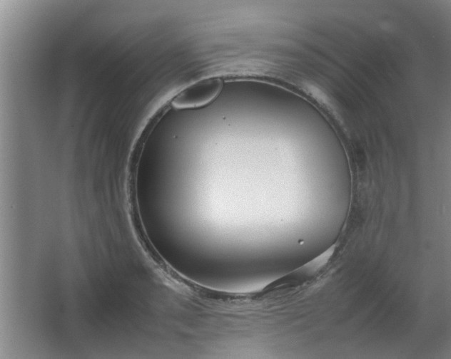 X0000066101085200603241512