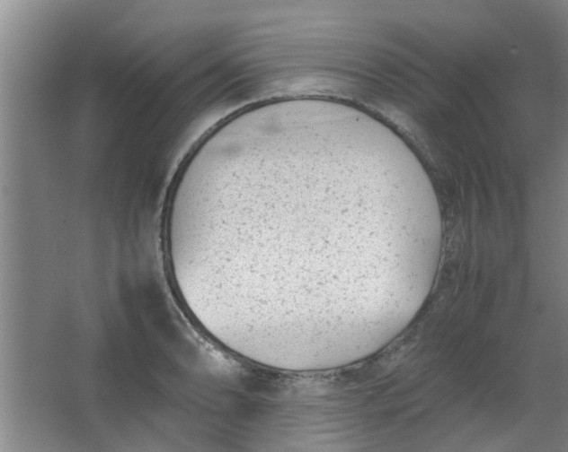 X0000066101086200603241512