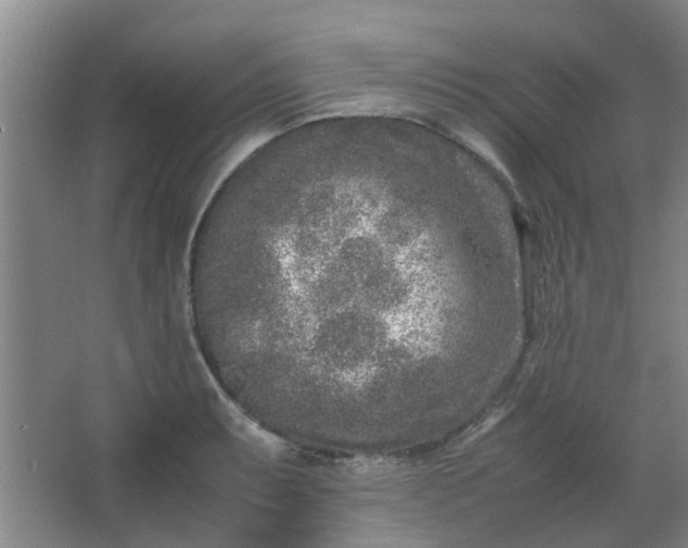 X0000066101087200603241512